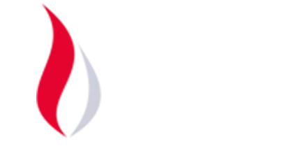 Logo di FFE partner di Techno Fire and Security